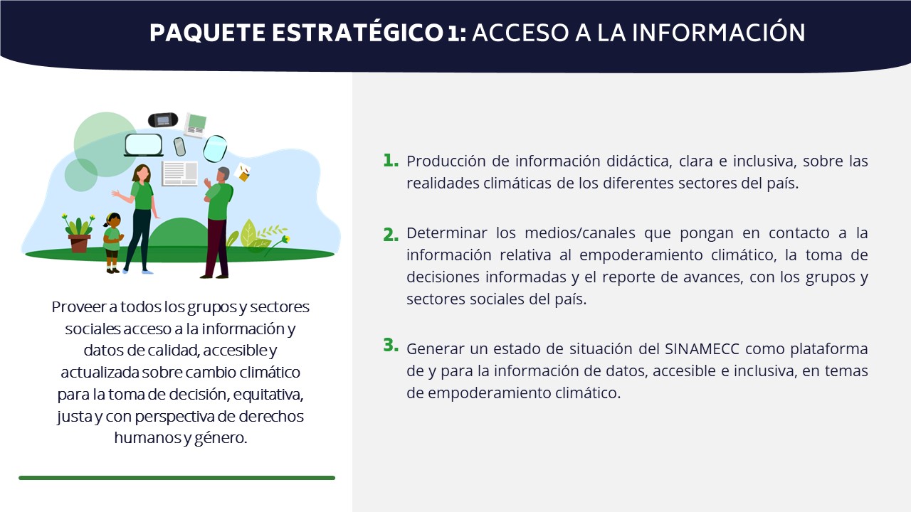 resumen primer paquete estratégico: Acceso a la información