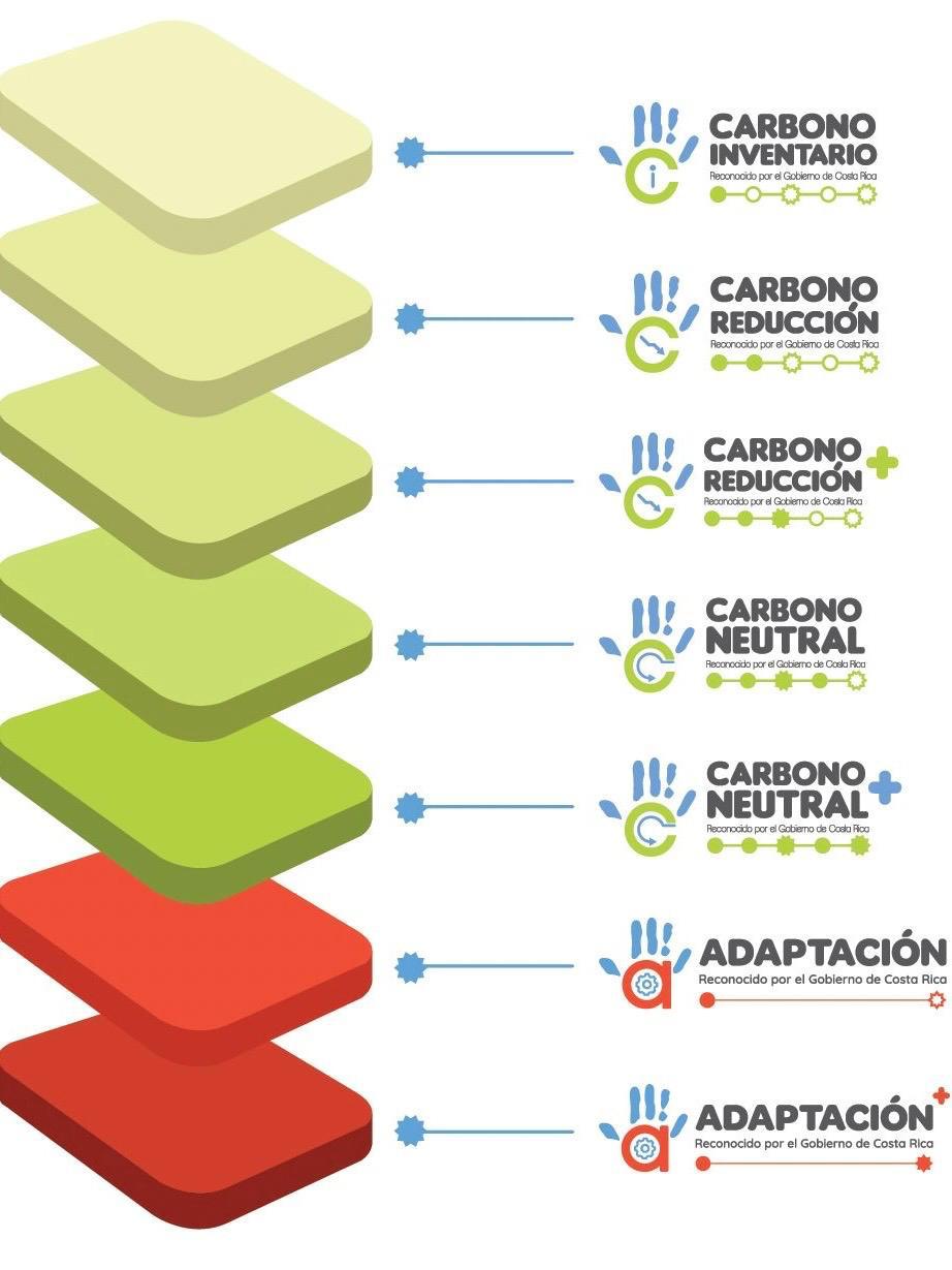 Niveles de reconocimiento